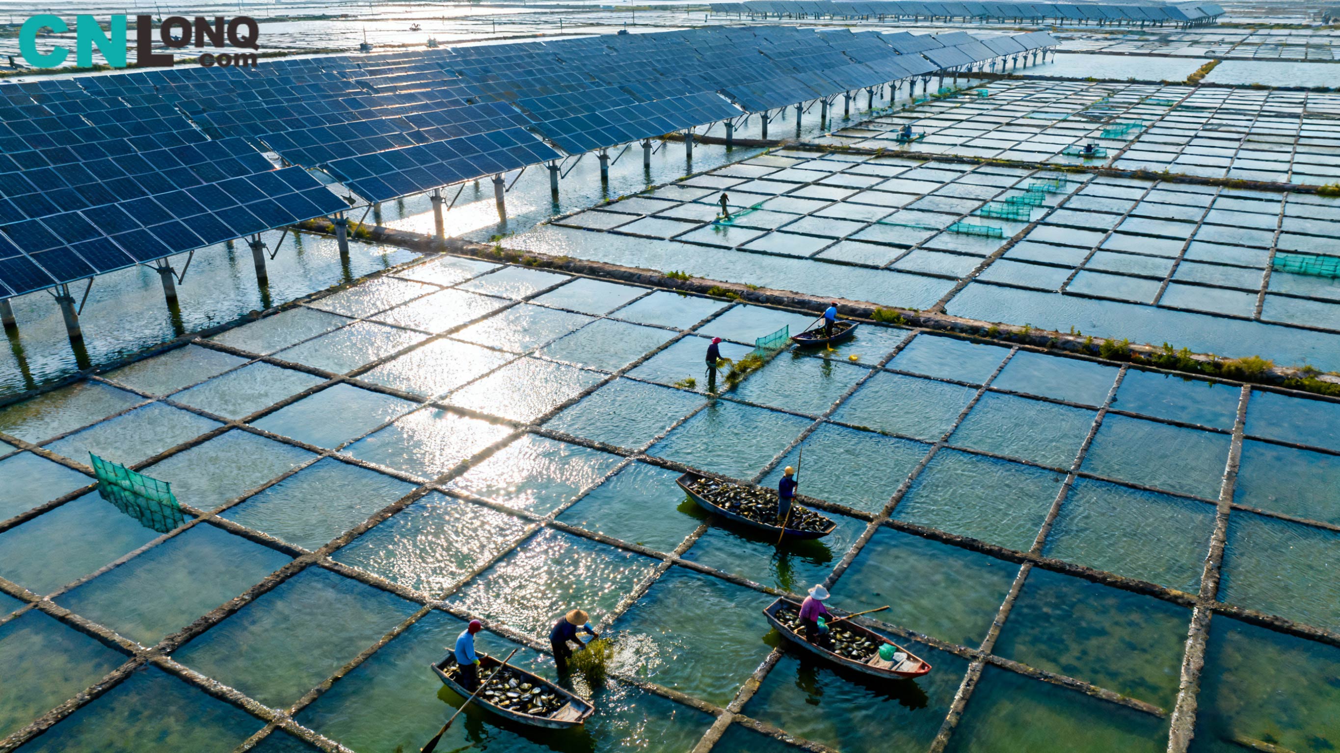 ການລົງທືນທັງຫມົດ 1,2 ຕື້! ສະຫນາມ Xindao Qingkou ພາກສະຫນາມເກືອ 250mw 